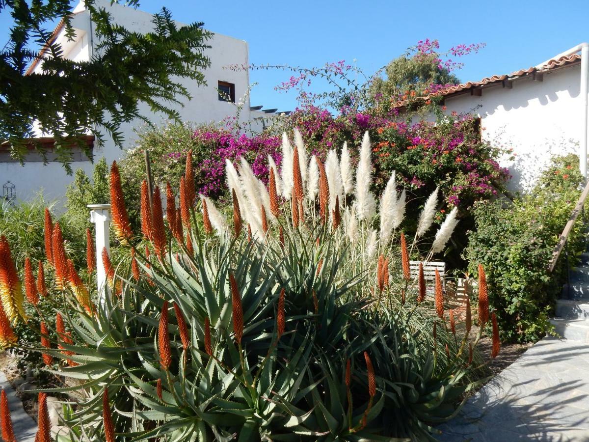 Finca Florida ซานมิเกลเดียโบนา ภายนอก รูปภาพ