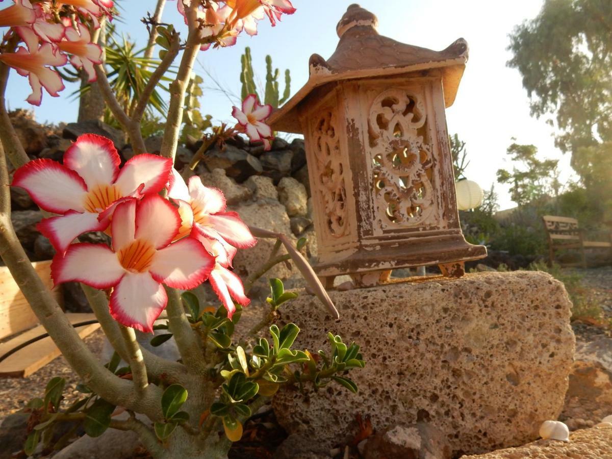 Finca Florida ซานมิเกลเดียโบนา ภายนอก รูปภาพ