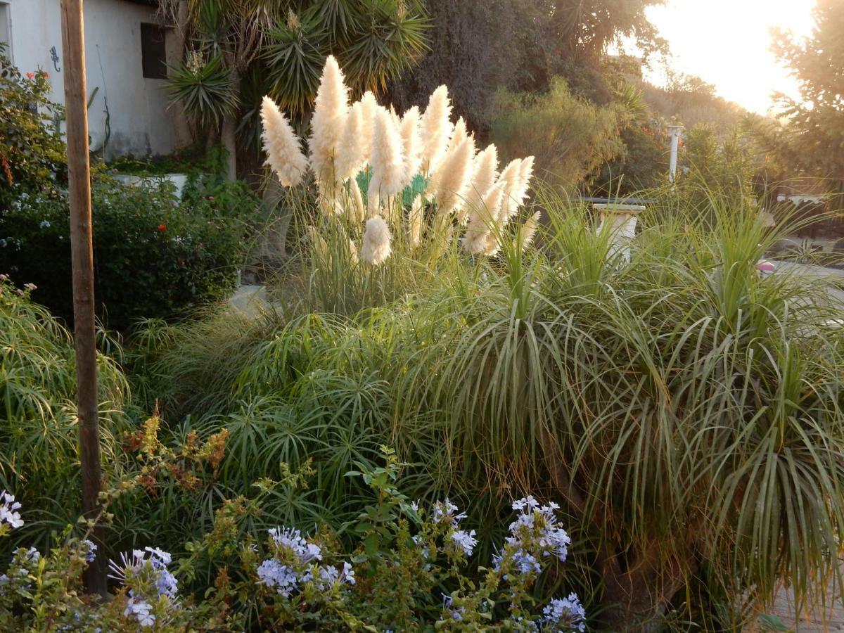 Finca Florida ซานมิเกลเดียโบนา ภายนอก รูปภาพ