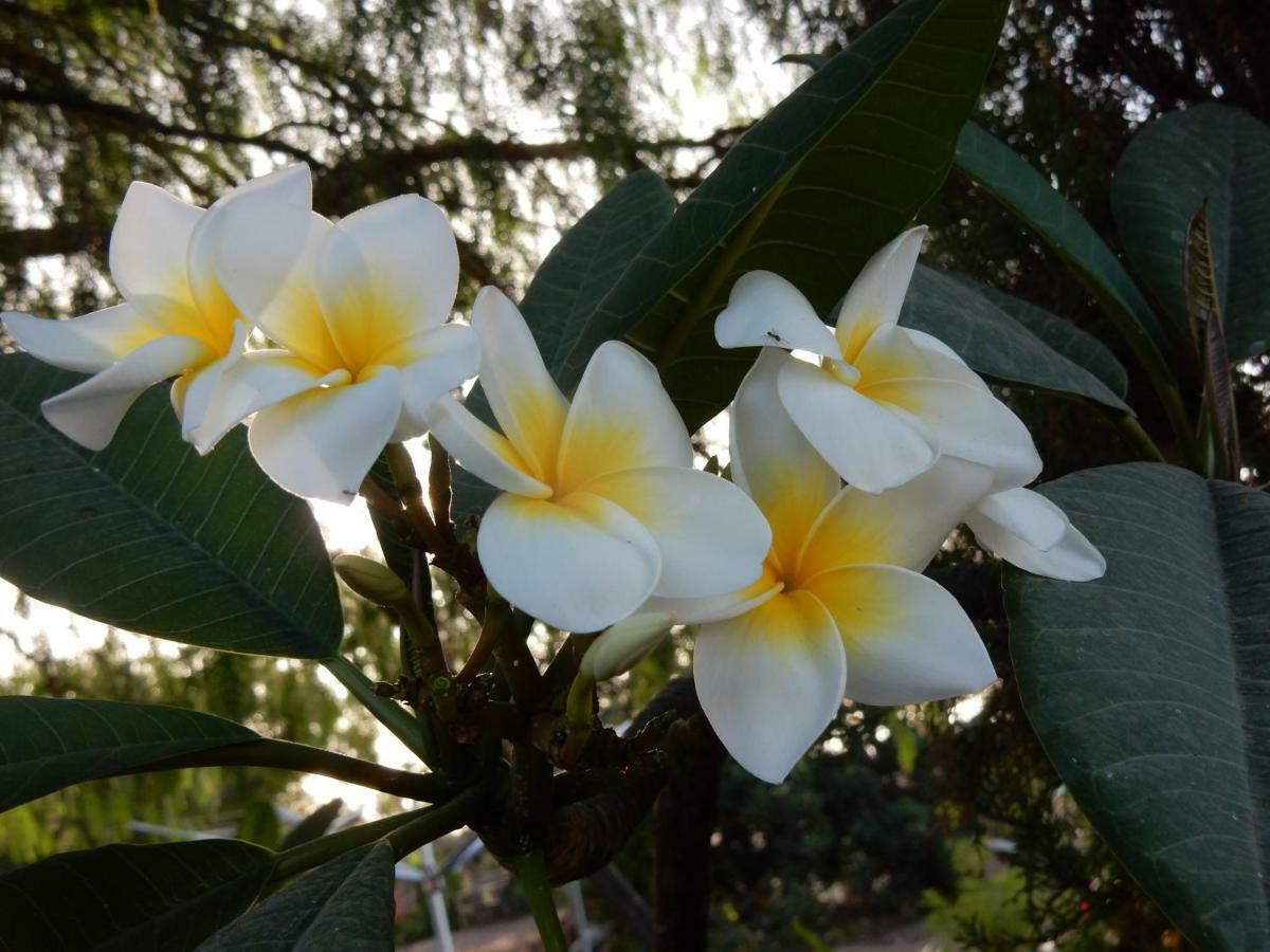 Finca Florida ซานมิเกลเดียโบนา ภายนอก รูปภาพ