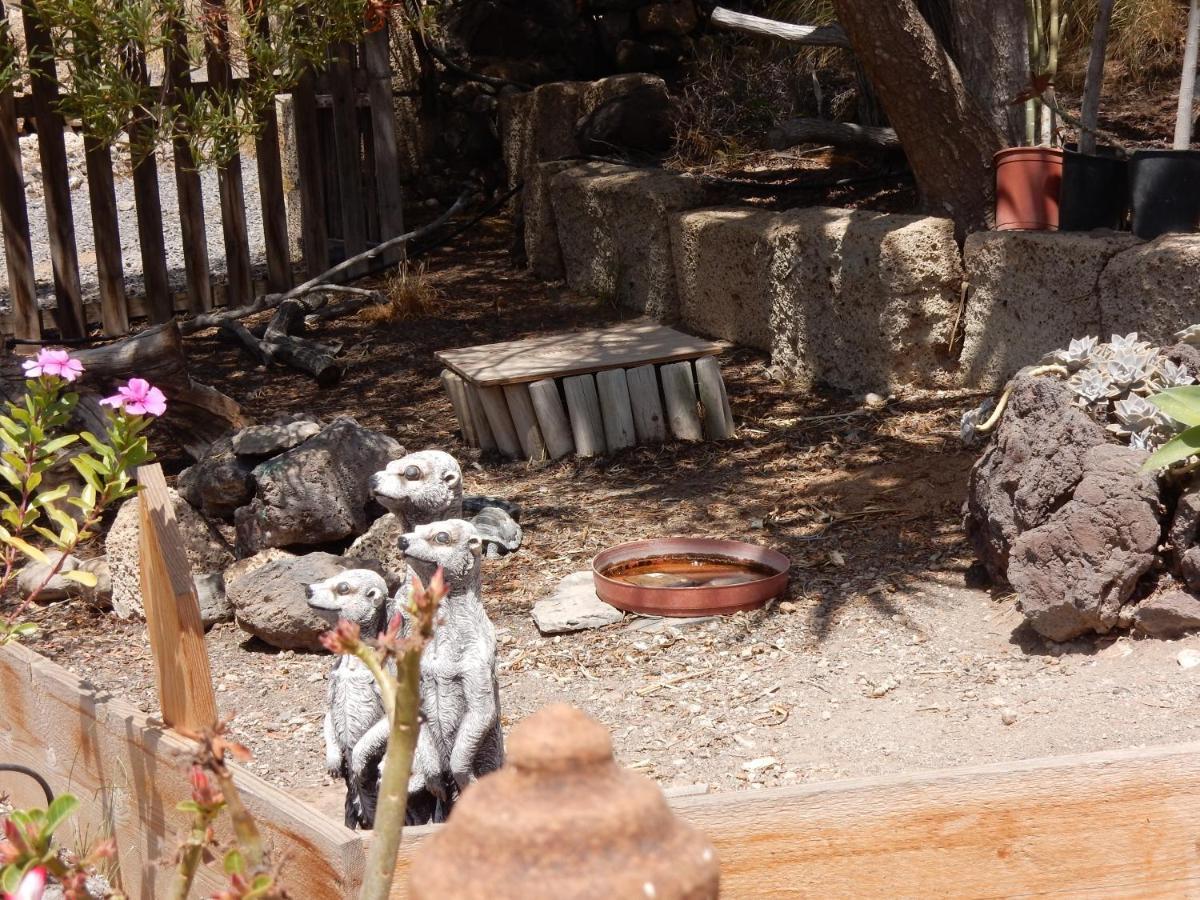Finca Florida ซานมิเกลเดียโบนา ภายนอก รูปภาพ